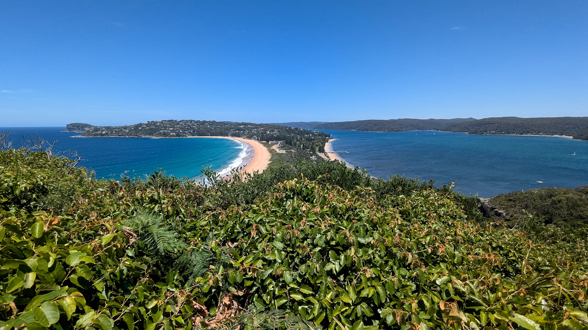 barrenjoey track (6)